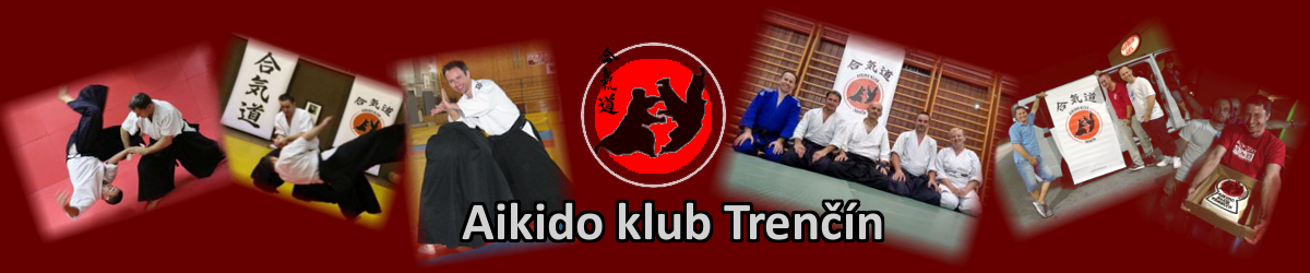 cropped-Aikidotn_banner-1.png